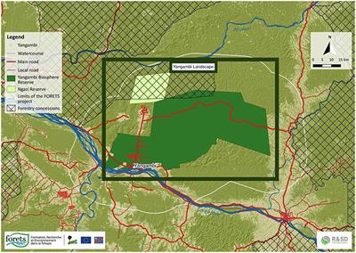 From the Forest to the Dish: A Comprehensive Study of the Wildmeat Value Chain in Yangambi, Democratic Republic of Congo